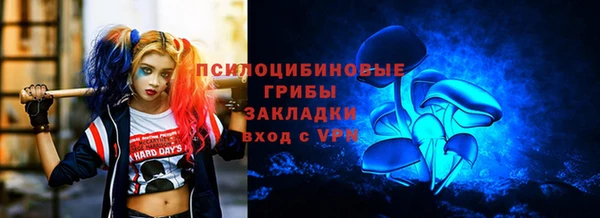PSILOCYBIN Абдулино