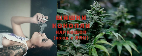 PSILOCYBIN Абдулино
