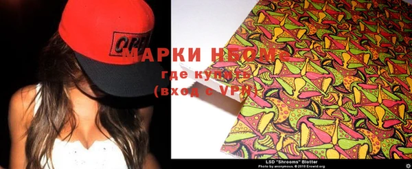 PSILOCYBIN Абдулино