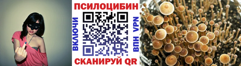 Галлюциногенные грибы MAGIC MUSHROOMS Тобольск