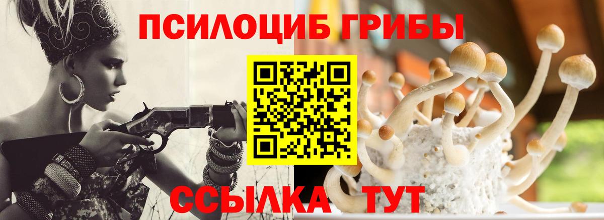 Галлюциногенные грибы Magic Shrooms  Вход с VPN  Галлюциногенные грибы прущие грибы  Тобольск 